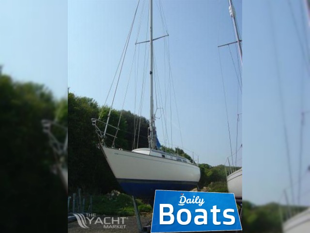 1981 Carter 30 Sloop προς πώληση