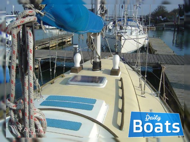 1981 Carter 30 Sloop