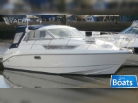 Hardy Seawings 277