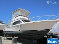 Blackfin 33 Convertible