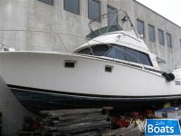 Bertram Yacht 38' Convertible