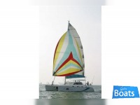 African Cats FastCat 435