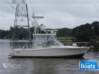 Carolina Classic 28