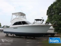 Ocean Yachts 38 Ss $79K 370 Yanmars