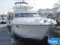 Princess 415 Plus