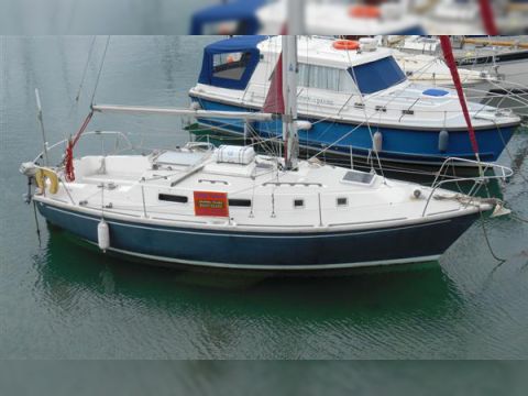 Westerly Konsort