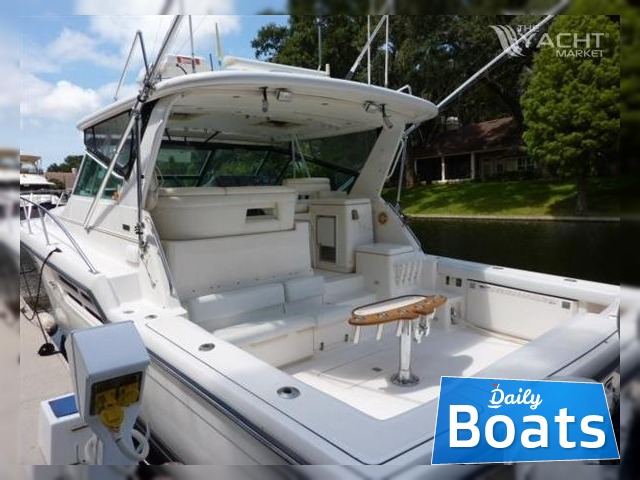2000 Tiara 4100 Open kaufen