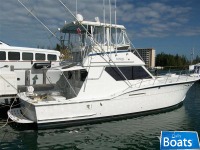 Hatteras Convertible