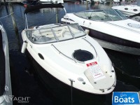 Stingray -SOLGT