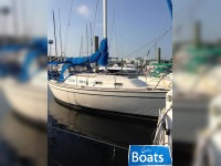 Pearson 30