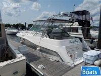 Cruiser's Inc 3675