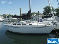 Catalina C30