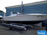 Sea Ray 390