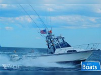 Boston Whaler 23 WA