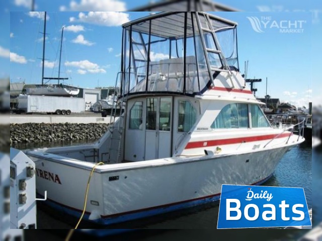 Buy 1976 Bertram 35 Convertible