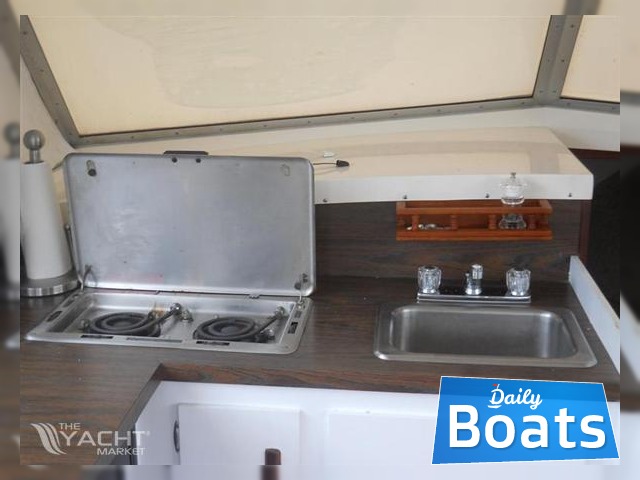 1977 Bertram 33 for sale