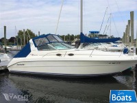 Sea Ray 300 Sundancer