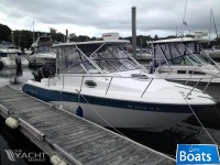 Sea Fox 256WA Pro Series