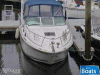 Sea Ray 260 Sundancer