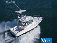 Luhrs 32 Open