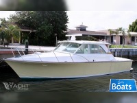 Bertram Custom 35