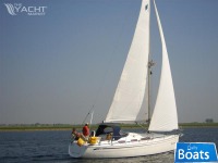 Bavaria 31 Cruiser