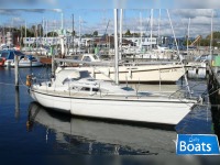 Dehler Optima 106