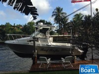 Polar 2300 WA