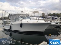 Luhrs 31 Hard Top