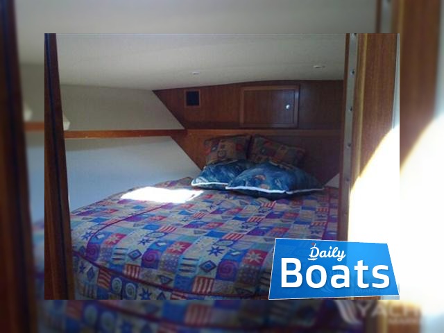Buy 2003 Albemarle 41