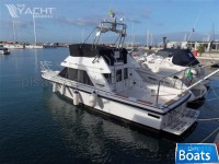 Phoenix 29 Convertible