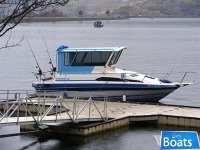 Bayliner 2450 Cierra