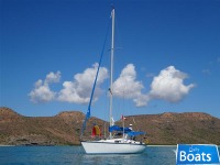 Hunter Legend 40
