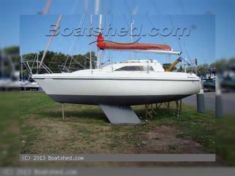 Hunter Horizon 26