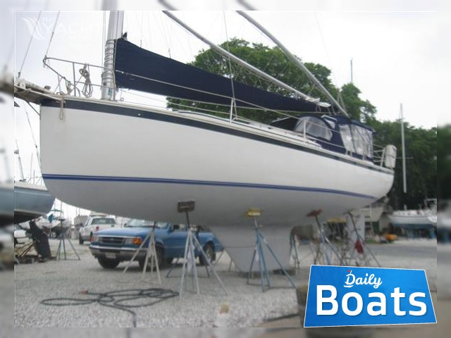 Buy 1988 Nonsuch 30