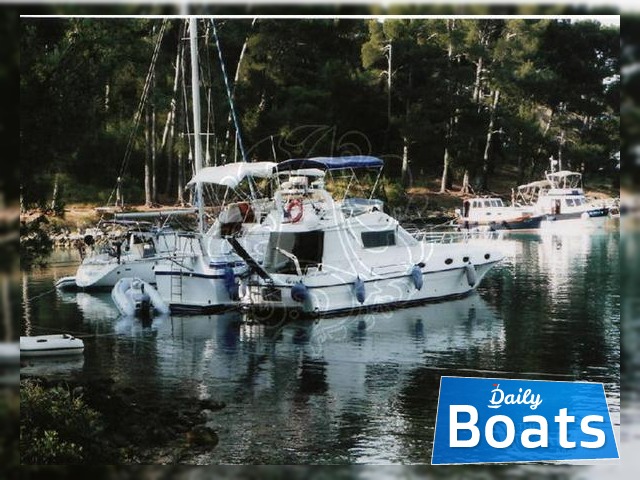 Buy 1995 Piantoni 39 Evolution