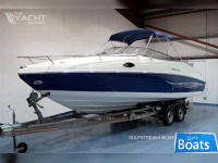 Rinker 232 Captiva Cuddy