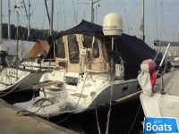 Hunter 38