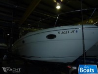 Sea Ray 290 Amberjack