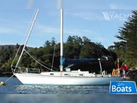 Swan 37