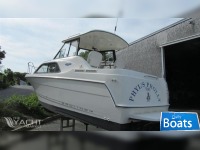 Express Bayliner 242 Hardtopcruiser