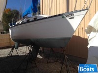 Hunter 25