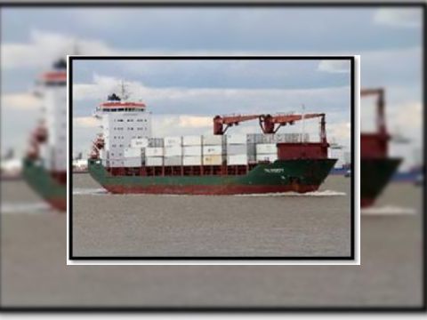 Cargo heavy lift cranes
