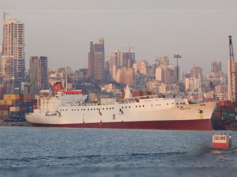 What are livestock carrier ships and why are they important?