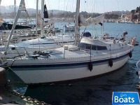 Northwind Mistral 36