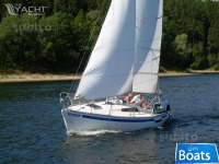 Sportina Sailboat 595