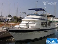 Tarquin Trader 41
