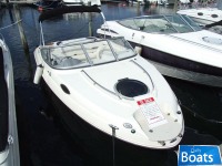 Stingray 208 Cr