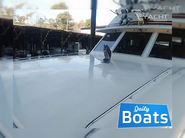 Buy 1981 Chris-Craft Constellation