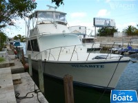  #1 Boat Mfg 39 Ft Flybridge